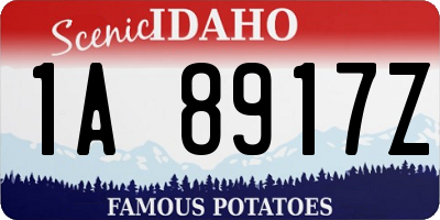 ID license plate 1A8917Z