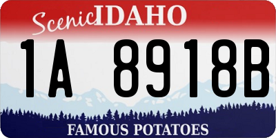 ID license plate 1A8918B