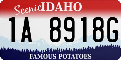 ID license plate 1A8918G