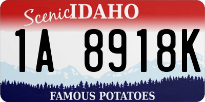 ID license plate 1A8918K