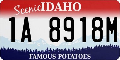 ID license plate 1A8918M