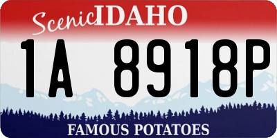 ID license plate 1A8918P