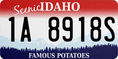 ID license plate 1A8918S