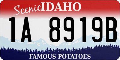 ID license plate 1A8919B