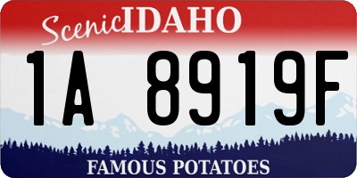 ID license plate 1A8919F