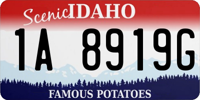 ID license plate 1A8919G