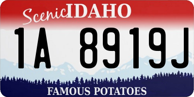 ID license plate 1A8919J