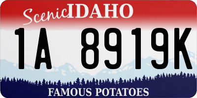 ID license plate 1A8919K