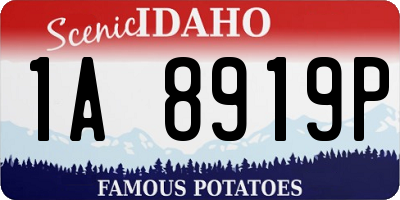 ID license plate 1A8919P