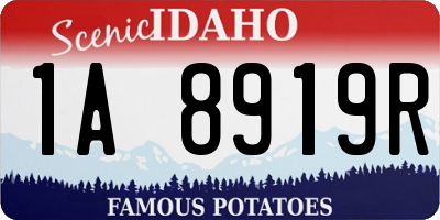 ID license plate 1A8919R