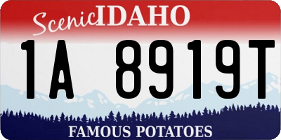 ID license plate 1A8919T