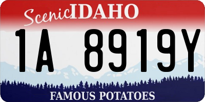 ID license plate 1A8919Y