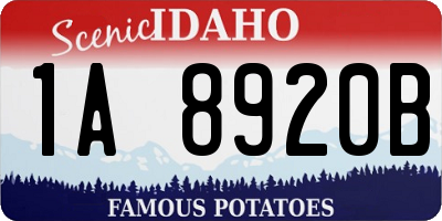ID license plate 1A8920B