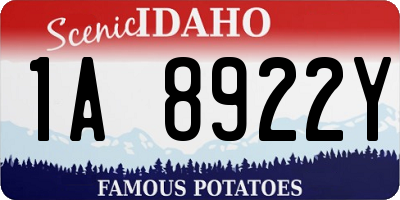 ID license plate 1A8922Y