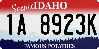 ID license plate 1A8923K