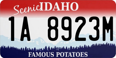 ID license plate 1A8923M