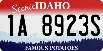 ID license plate 1A8923S