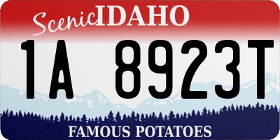 ID license plate 1A8923T