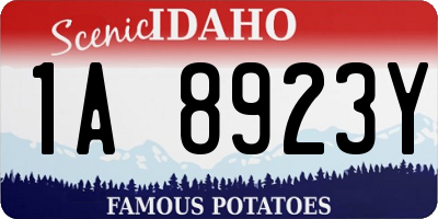 ID license plate 1A8923Y