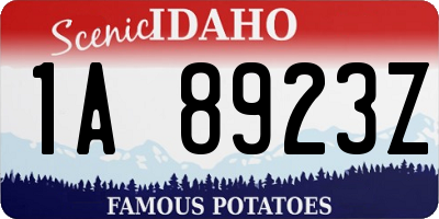 ID license plate 1A8923Z