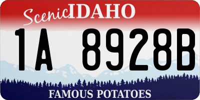 ID license plate 1A8928B