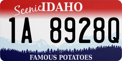 ID license plate 1A8928Q