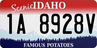 ID license plate 1A8928V