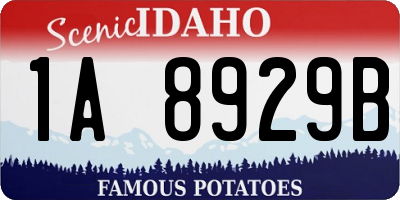 ID license plate 1A8929B