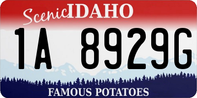 ID license plate 1A8929G