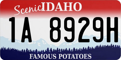 ID license plate 1A8929H