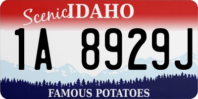 ID license plate 1A8929J
