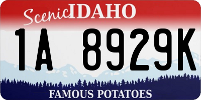 ID license plate 1A8929K