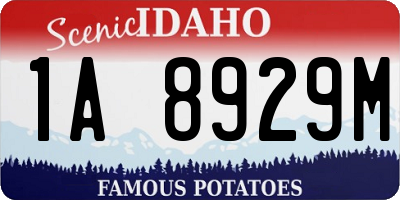 ID license plate 1A8929M