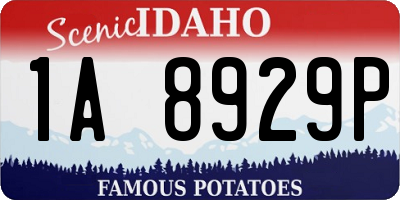 ID license plate 1A8929P