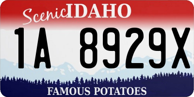 ID license plate 1A8929X