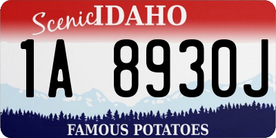 ID license plate 1A8930J