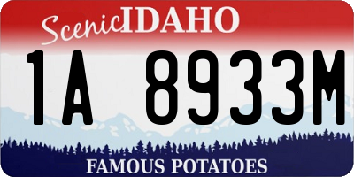 ID license plate 1A8933M