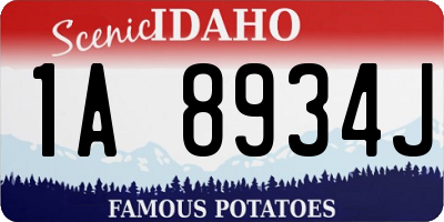 ID license plate 1A8934J