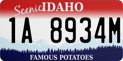 ID license plate 1A8934M