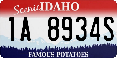 ID license plate 1A8934S