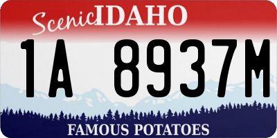 ID license plate 1A8937M