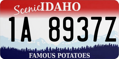 ID license plate 1A8937Z