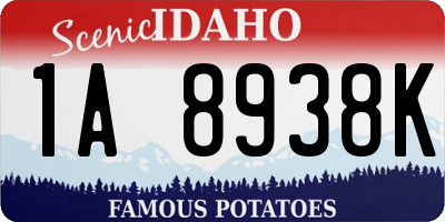 ID license plate 1A8938K