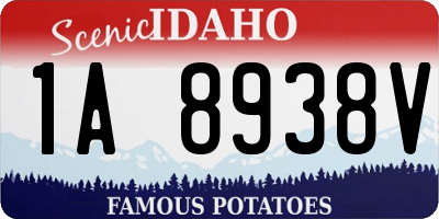 ID license plate 1A8938V