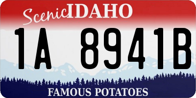 ID license plate 1A8941B