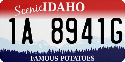 ID license plate 1A8941G