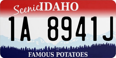 ID license plate 1A8941J