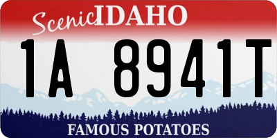 ID license plate 1A8941T
