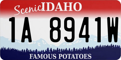 ID license plate 1A8941W