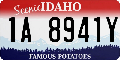 ID license plate 1A8941Y
